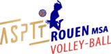 Logo ASPTT ROUEN MSA VB